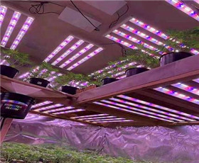 LED植物照明燈